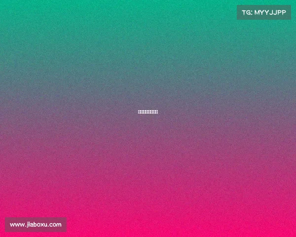 自由搏击国际比赛